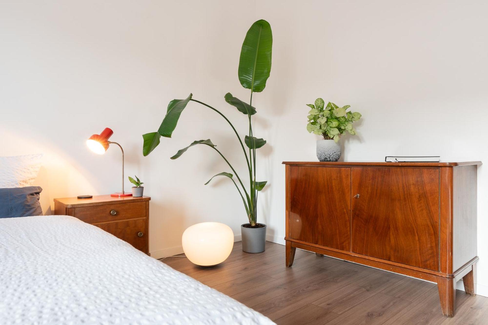 Luxurioeses Apartment, 10Min Innenstadt, Parkplatz Erfurt Eksteriør bilde
